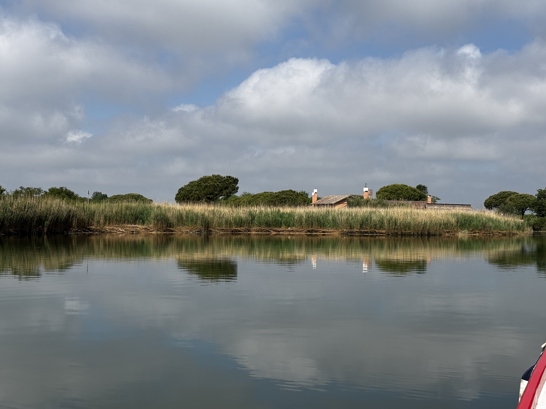 Laguna di Caorle con casone tra la vegetazione